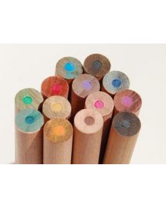 SPROUT Samenfarbstift lose