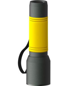 Taschenlampe Reeves-myFlash 300