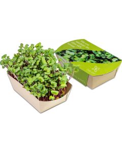 Microgreens-Gärtchen - Samen nach Wahl - inkl. Werbedruck