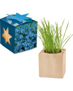 Pflanz-Holz Maxi Star-Box - Samen nach Wahl - inkl. Werbedruck