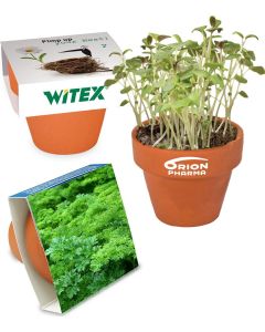 Logo-Töpfchen Banderole - Samen nach Wahl - inkl. Werbedruck