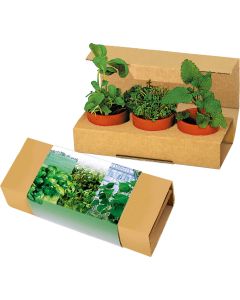 Kräuter-Trio - Basilikum, Kresse, Zitronenmelisse - inkl. 1-4 c Logo-Digitaldruck