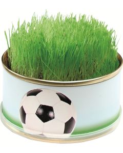 Zimmerarena Mini Garten Fußball - inkl. 1-4 c Logo-Digitaldruck