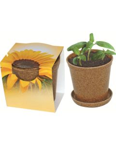 Easy Wachstums-Topf Sonne - Zwergsonnenblume - inkl. 1-4 c Logo-Digitaldruck