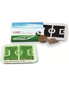 Wachsende Fußball-Arena - Zimmerrasen - inkl. 1-4 c Logo-Digitaldruck