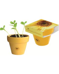 Tontopf Colour - Samen nach Wahl - inkl. 1-4 c Logo-Digitaldruck