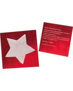 Samenpapier-Kärtchen Stern - inkl. Digitaldruck