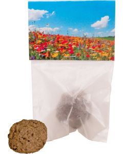 Wonder Ball Single - inkl. Digitaldruck