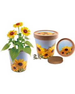 Sonnige Grüße - inkl. Digitaldruck